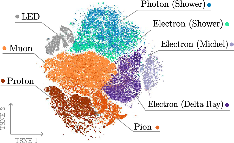 Dimensionality reduction visualization of learned embeddings showing particle type clustering