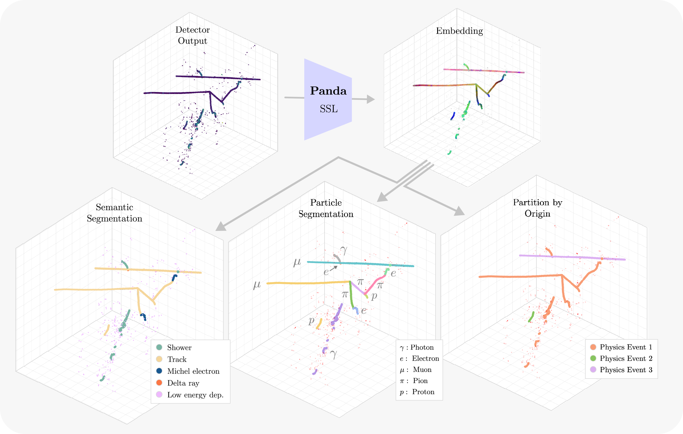 Panda teaser figure showing the pipeline from raw LArTPC data through self-supervised learning to downstream tasks