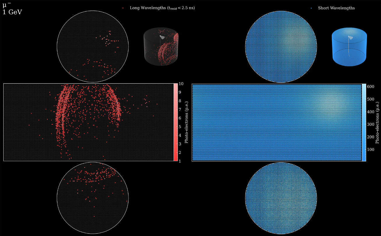 THEIA 1 GeV muon with dichroicons